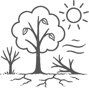 Illustration Trockenschaden