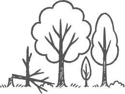 Illustration Windschaden