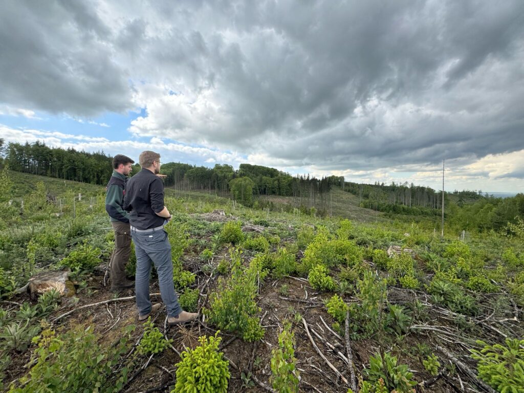 Julian Meyer von der Werbeagentur die Medienvilla und Förster Rico Hollenberg stehen auf einer kahlen Fläche im Wiehengebirge. MItten auf der Fläche steht ein einzelner toter Baum. Bewölkter Himmel.