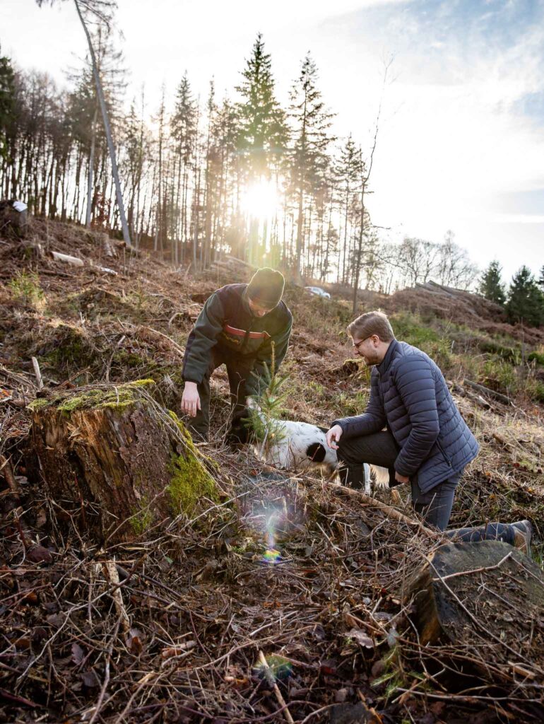 Förster Rico Hollernberg und Julian Meyer von der Werbeagentur die medienvilla im Wiehengebirge an einer Aufforstungsfläche mit Hund und Fichten Setzling